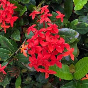 Meet your Posher, Traci